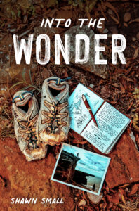 Into the Wonder